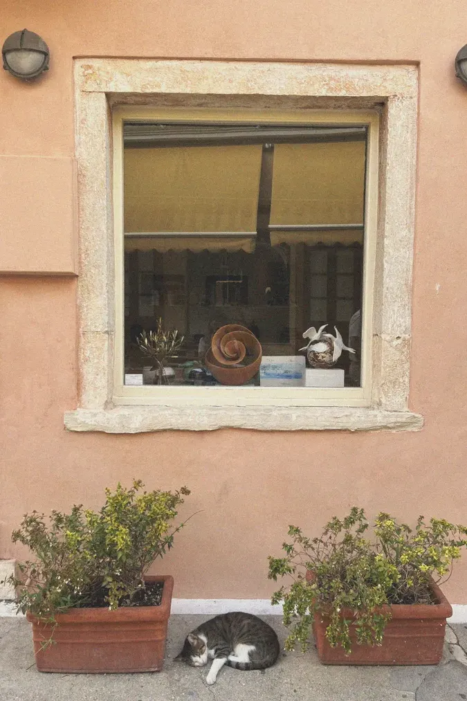 A serene street scene in Paxos featuring a cat resting by a window, highlighting the island's laid-back charm.